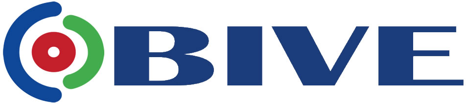 Bive Solutions